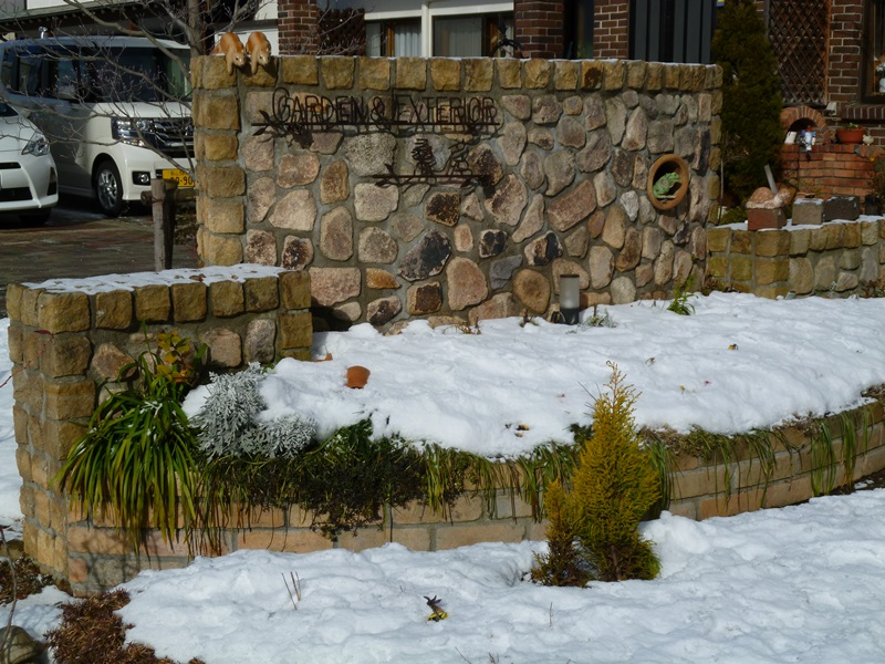 花の代わりに白い雪