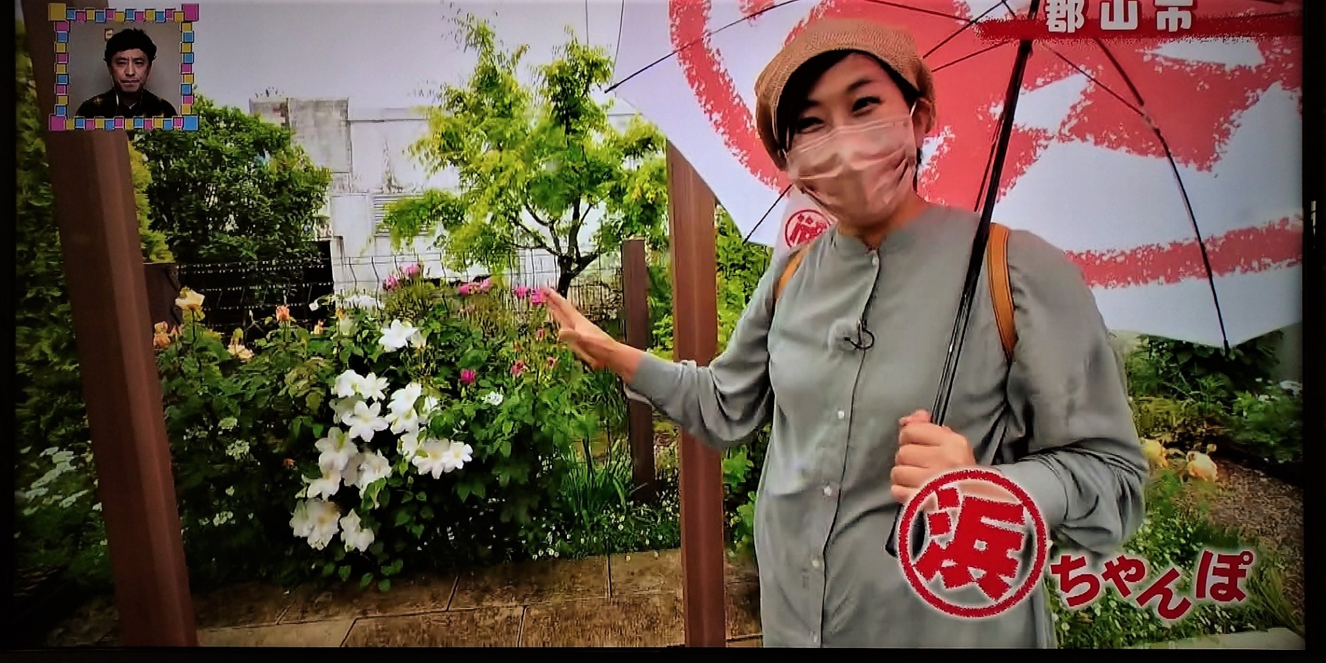 福島テレビのサタふく 浜ちゃんぽに出ました・郡山市