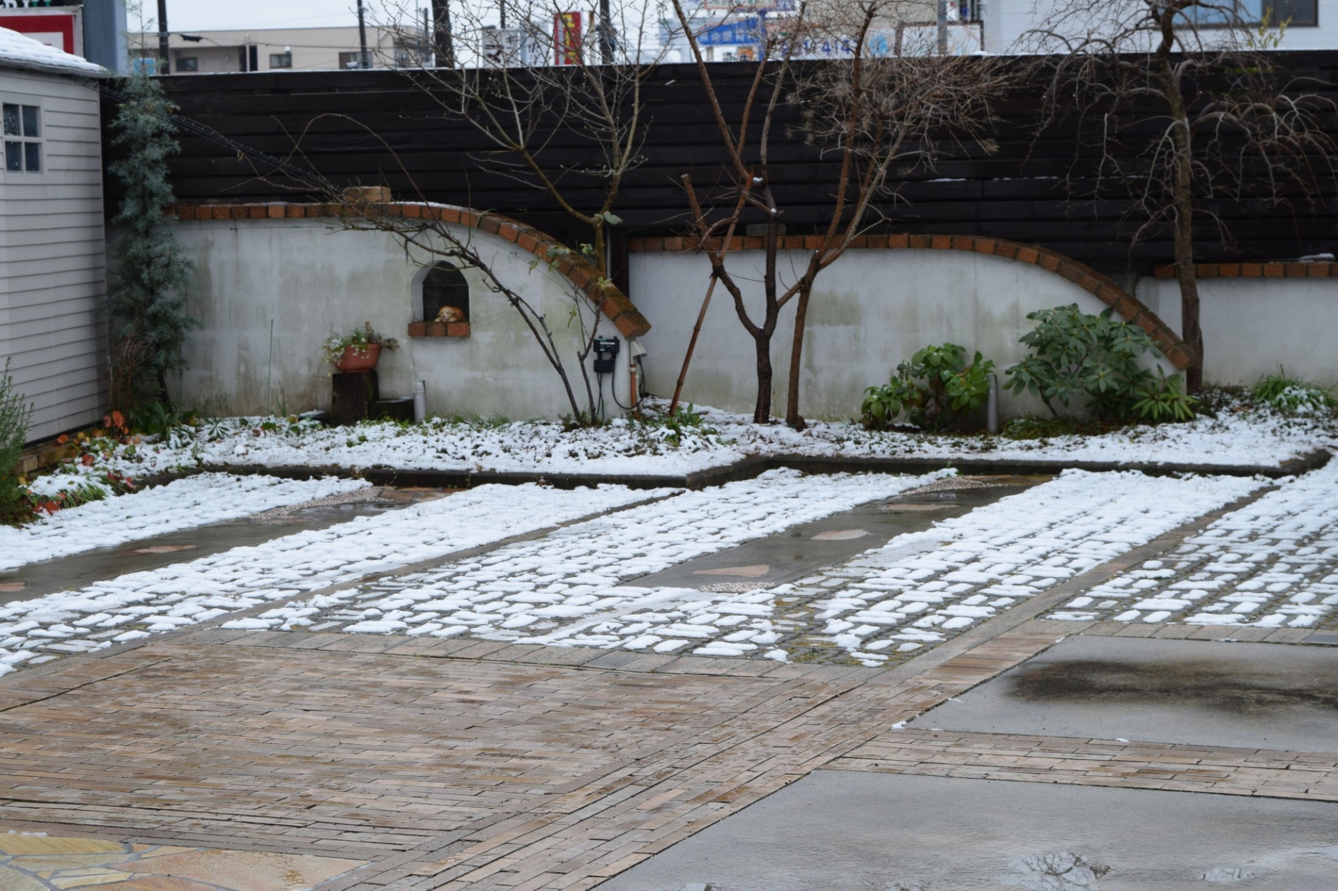 展示場初雪