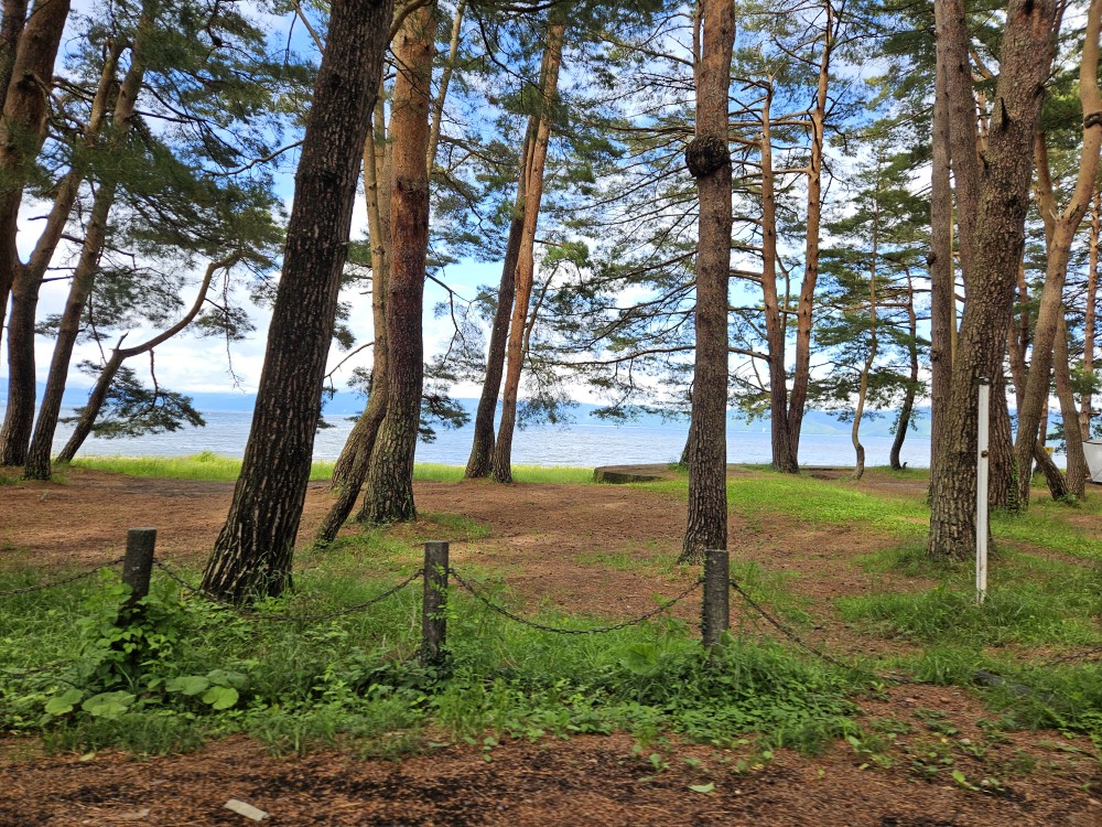 湖水浴キャンプ地