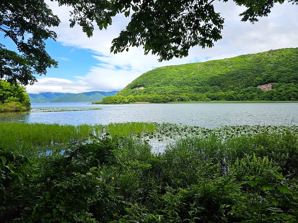暑いと感じる季節到来・福島県郡山市