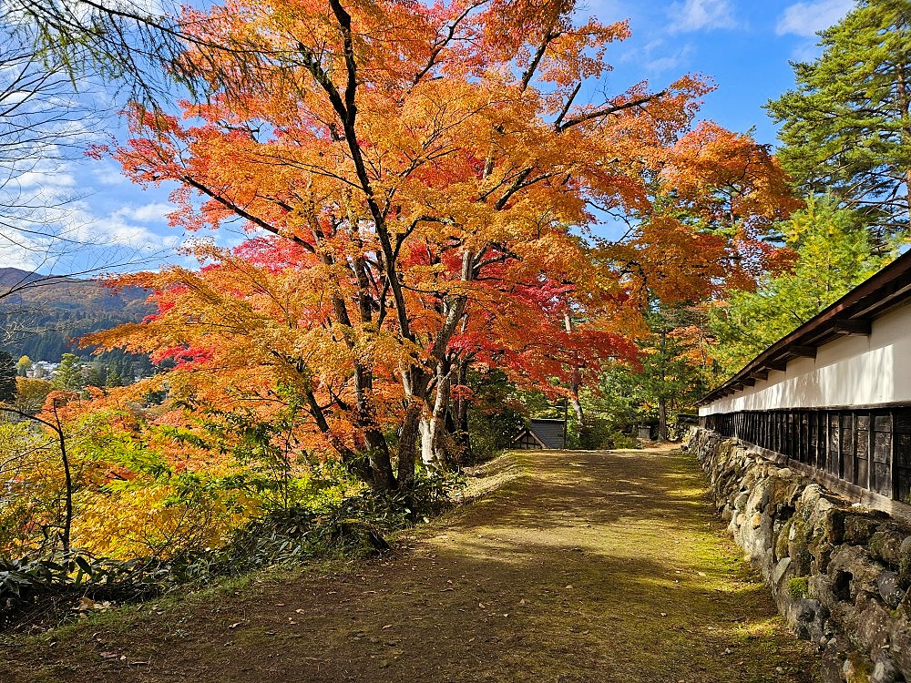 短い秋を求めて・福島県郡山市