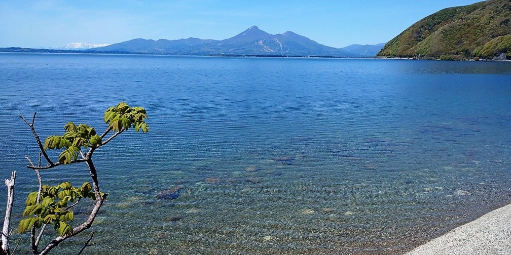 夏がやって来た・福島県郡山市