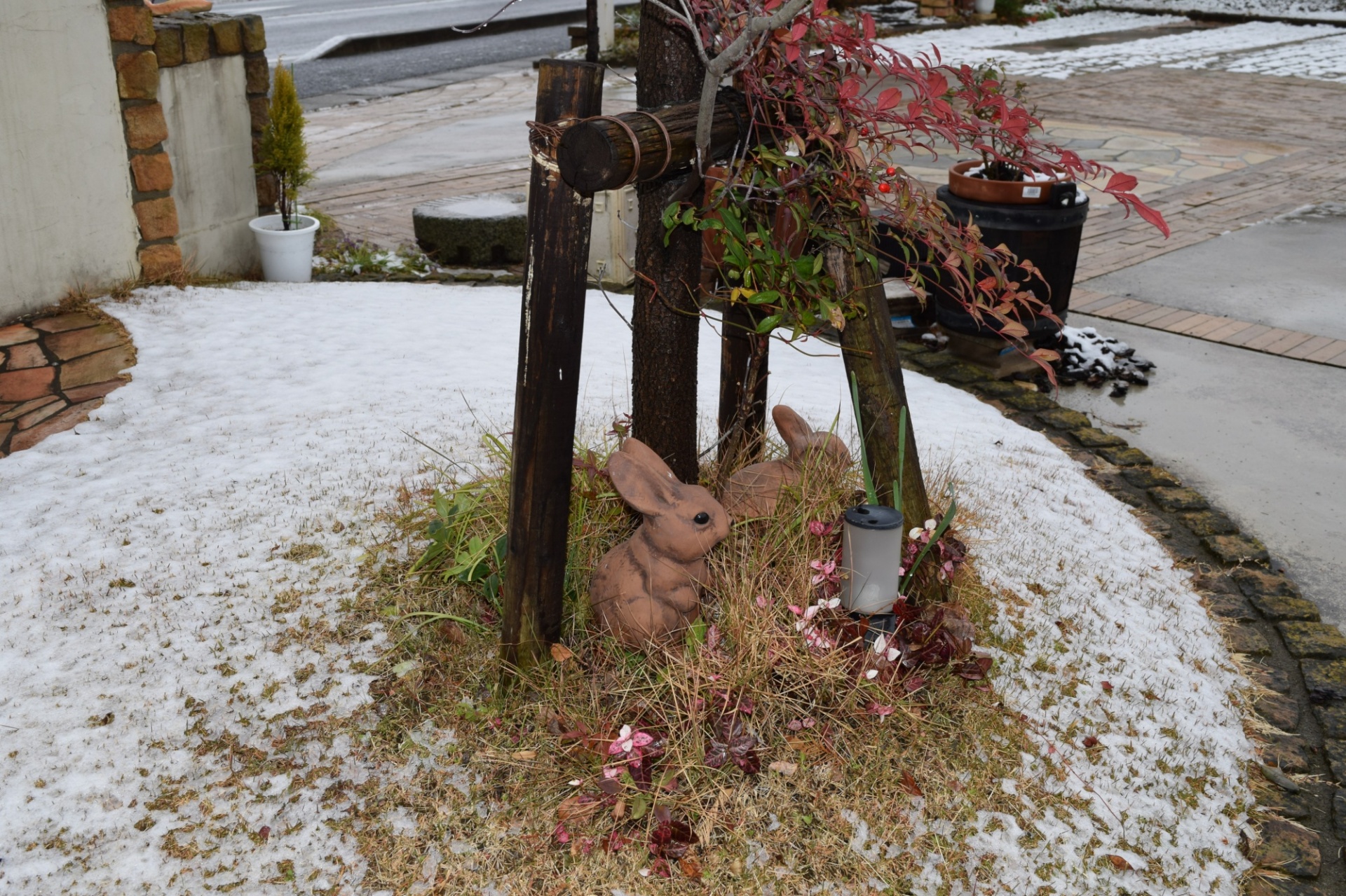 初雪