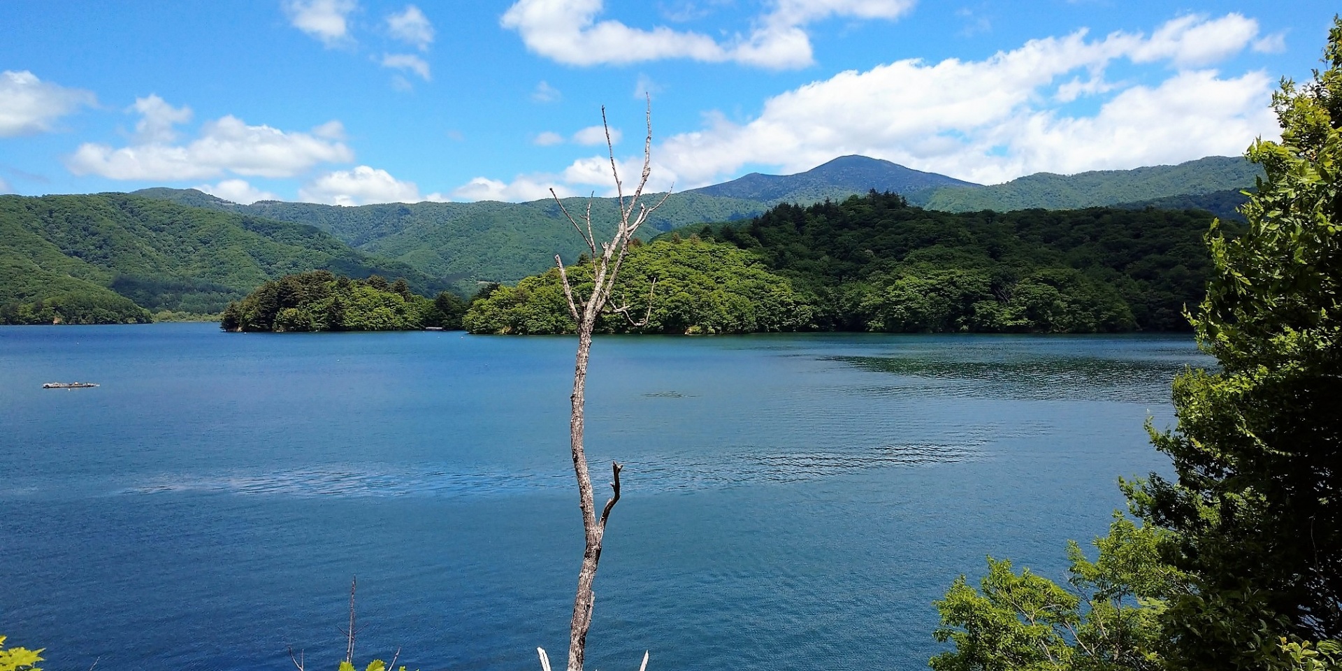 梅雨入りしましたが・福島県郡山市