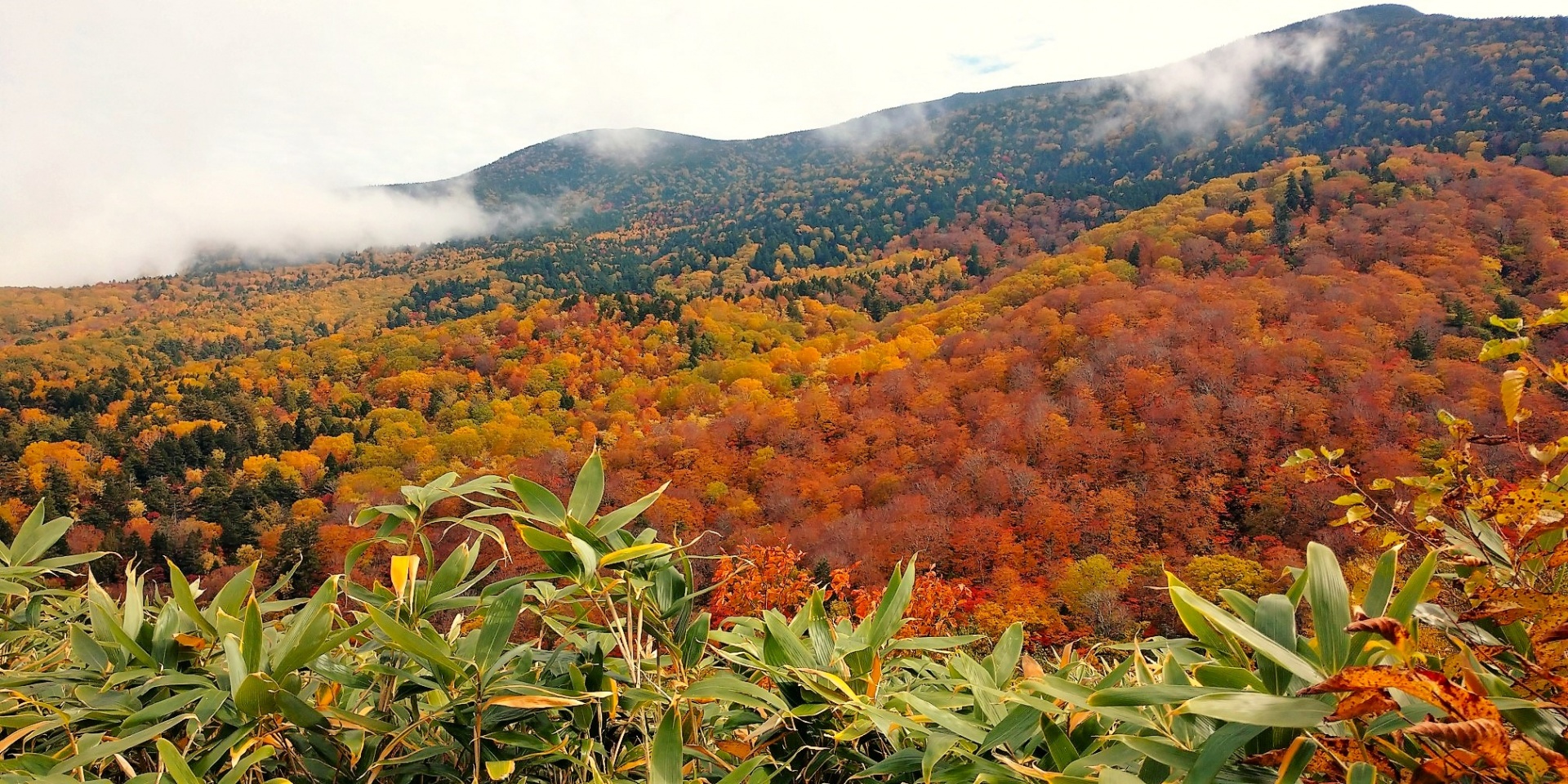 西吾妻スカイバレー紅葉・福島県郡山市