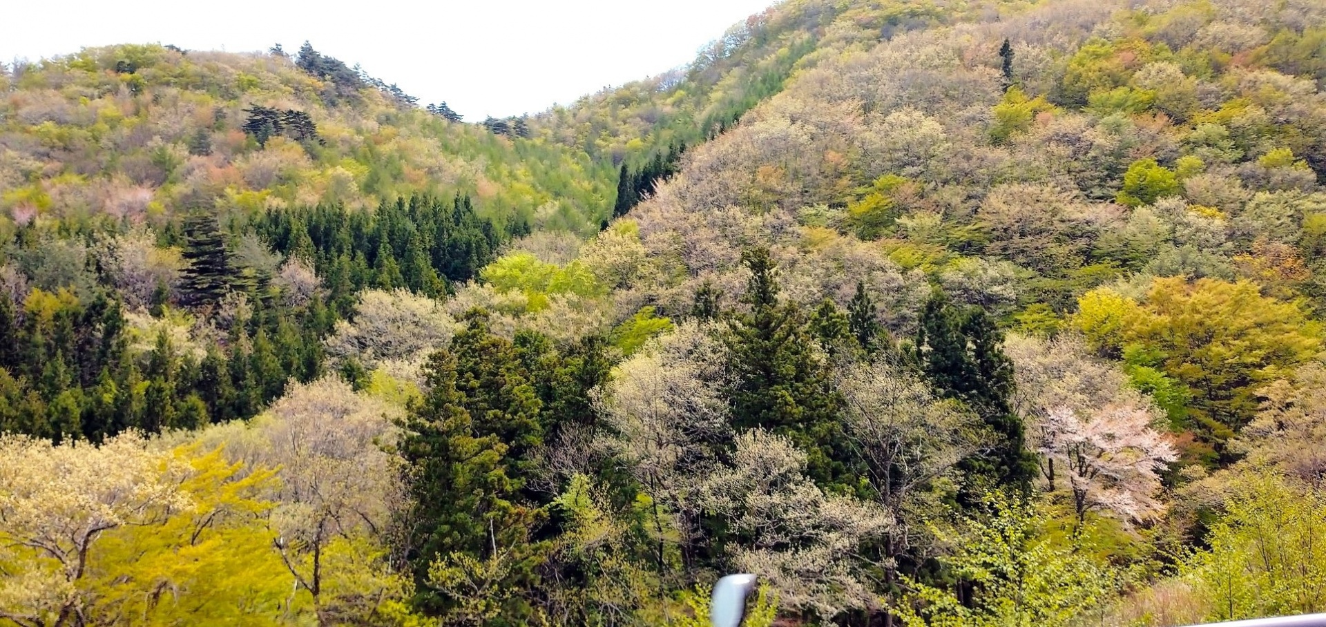 今日の雨・福島県郡山市