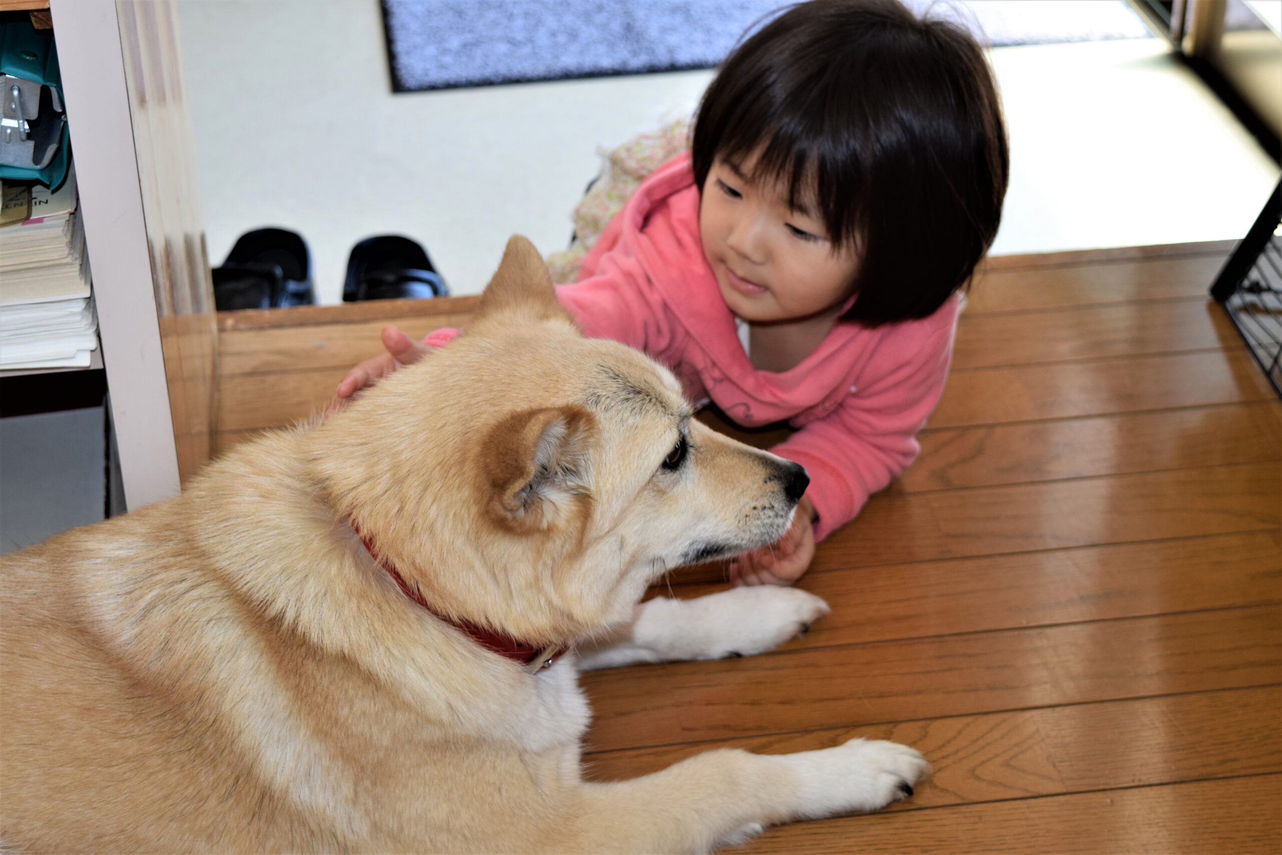 じっとしているくうちゃん