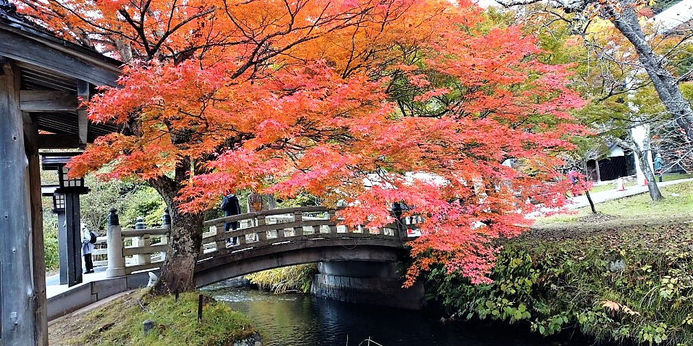 今年の紅葉は？福島県郡山市