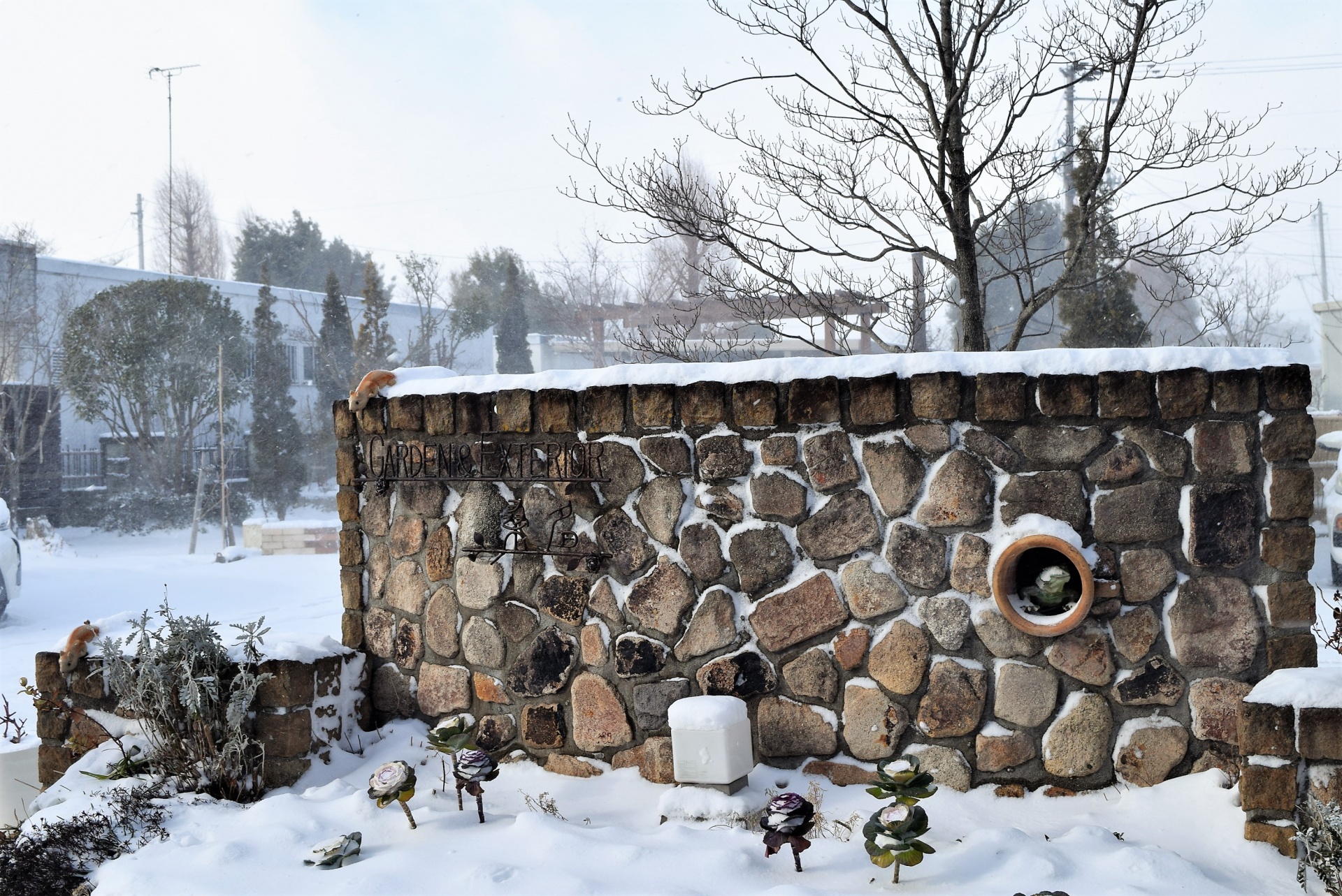 猛吹雪・福島県郡山市