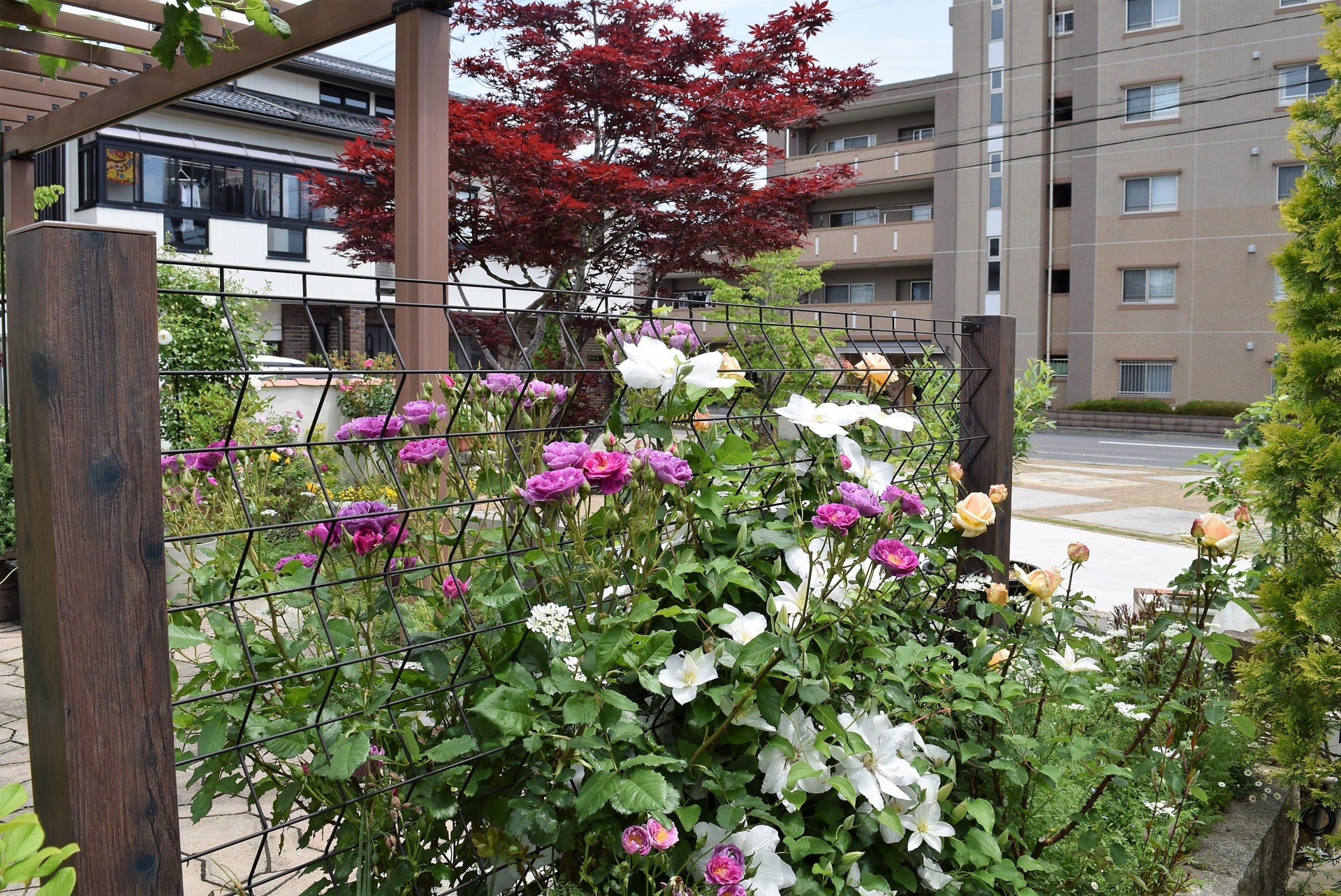 地球と触れ合う時間・福島県郡山市