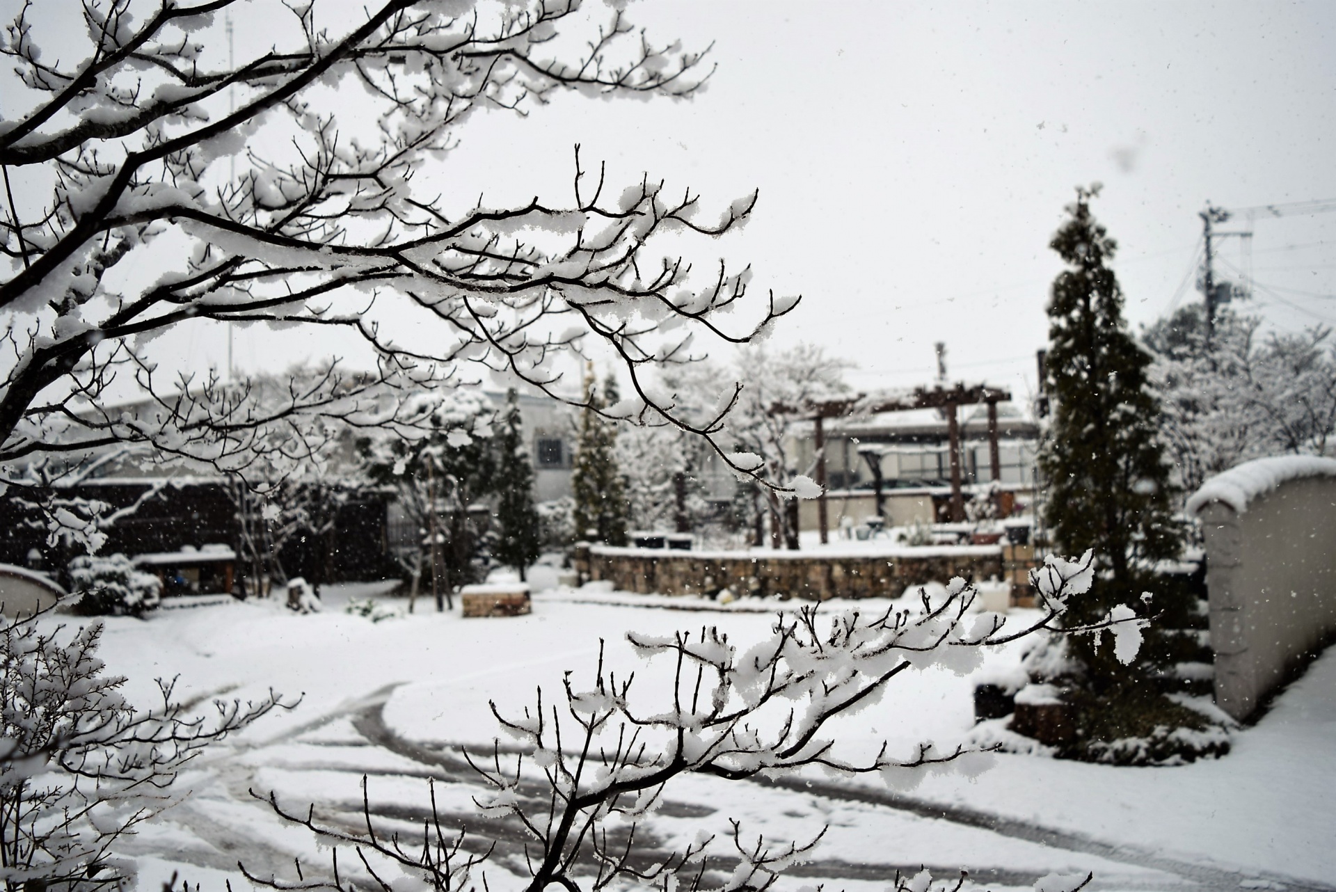 寒の戻りで雪・福島県郡山市