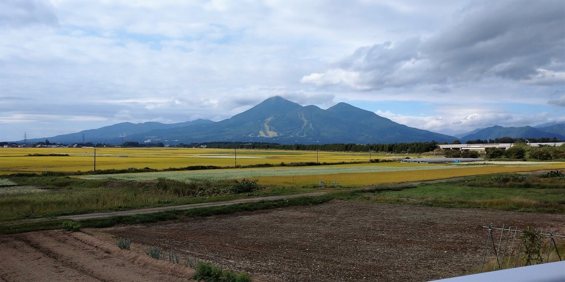 暑さも彼岸までとは・福島県郡山市