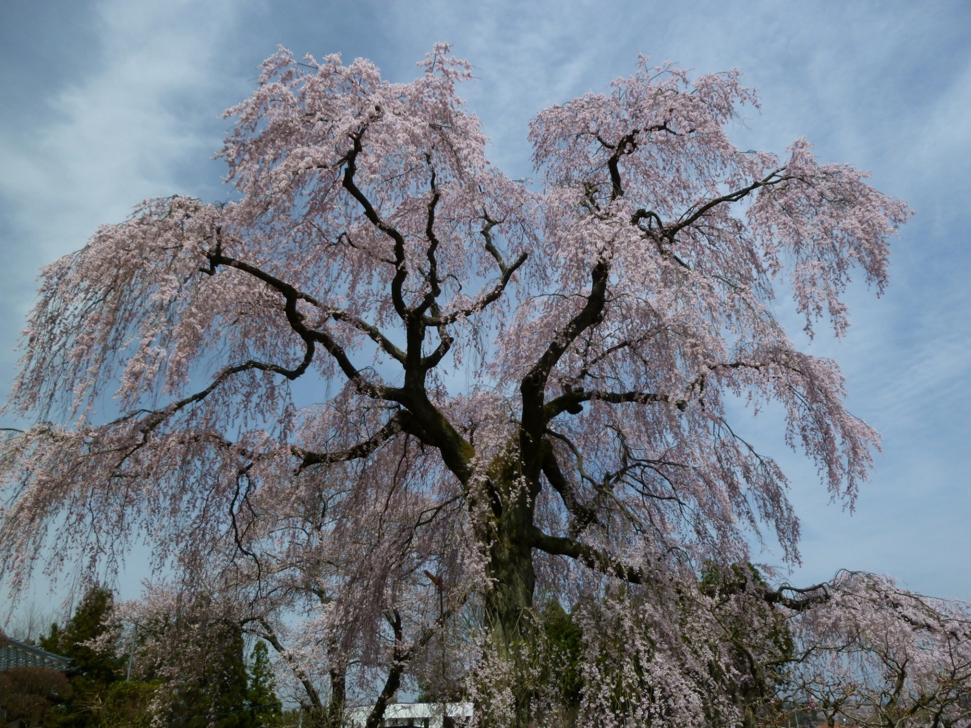 泉崎のお寺