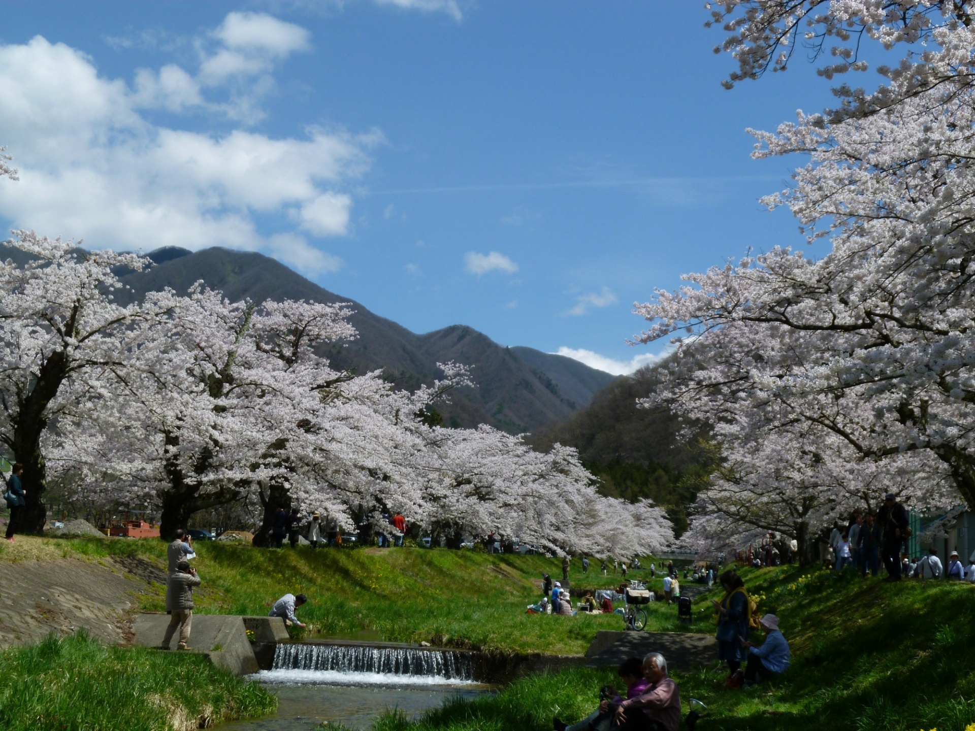 観音寺川と川桁山脈