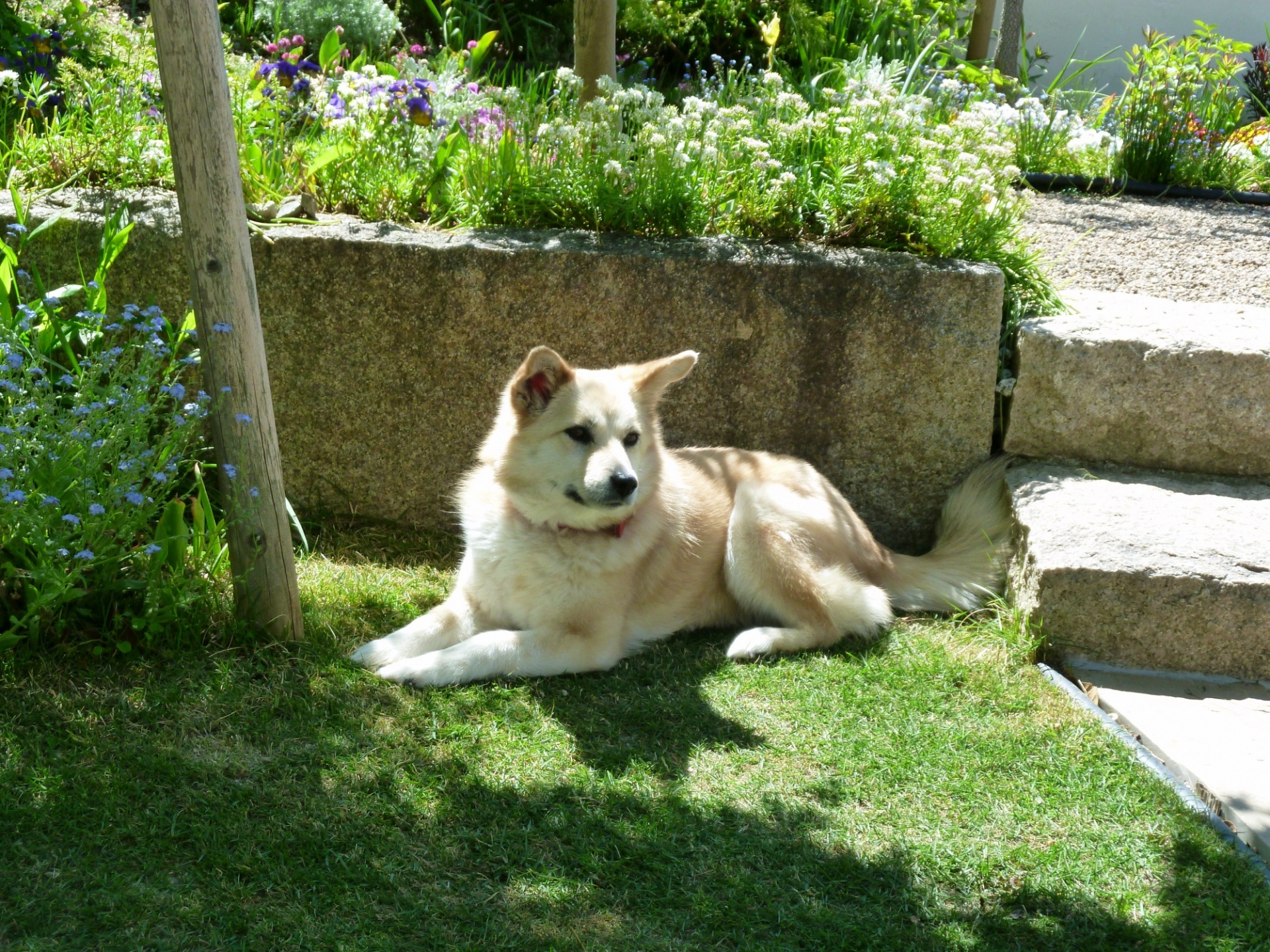 木陰で一息