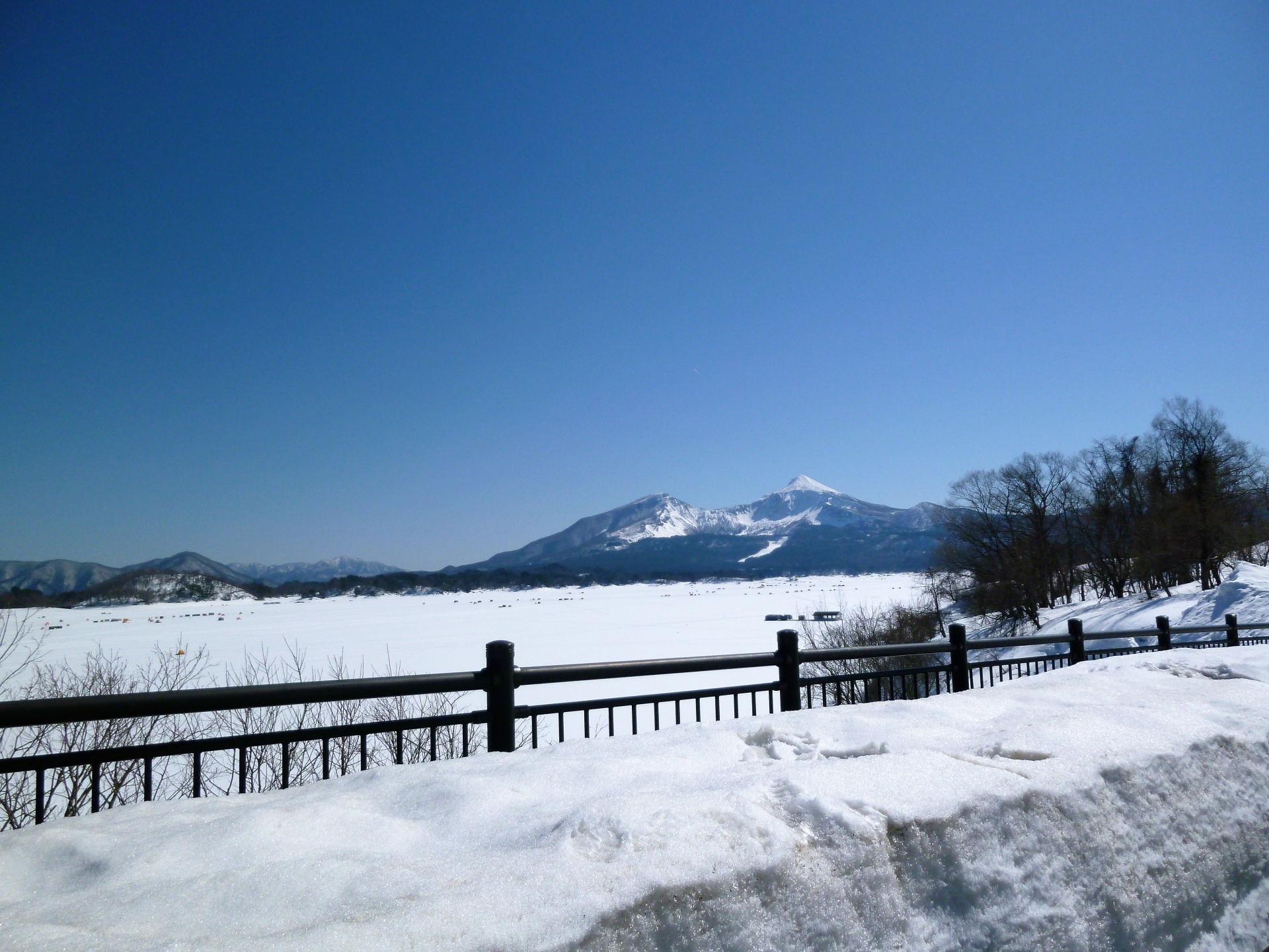 桜間近のなごり雪・福島県郡山市