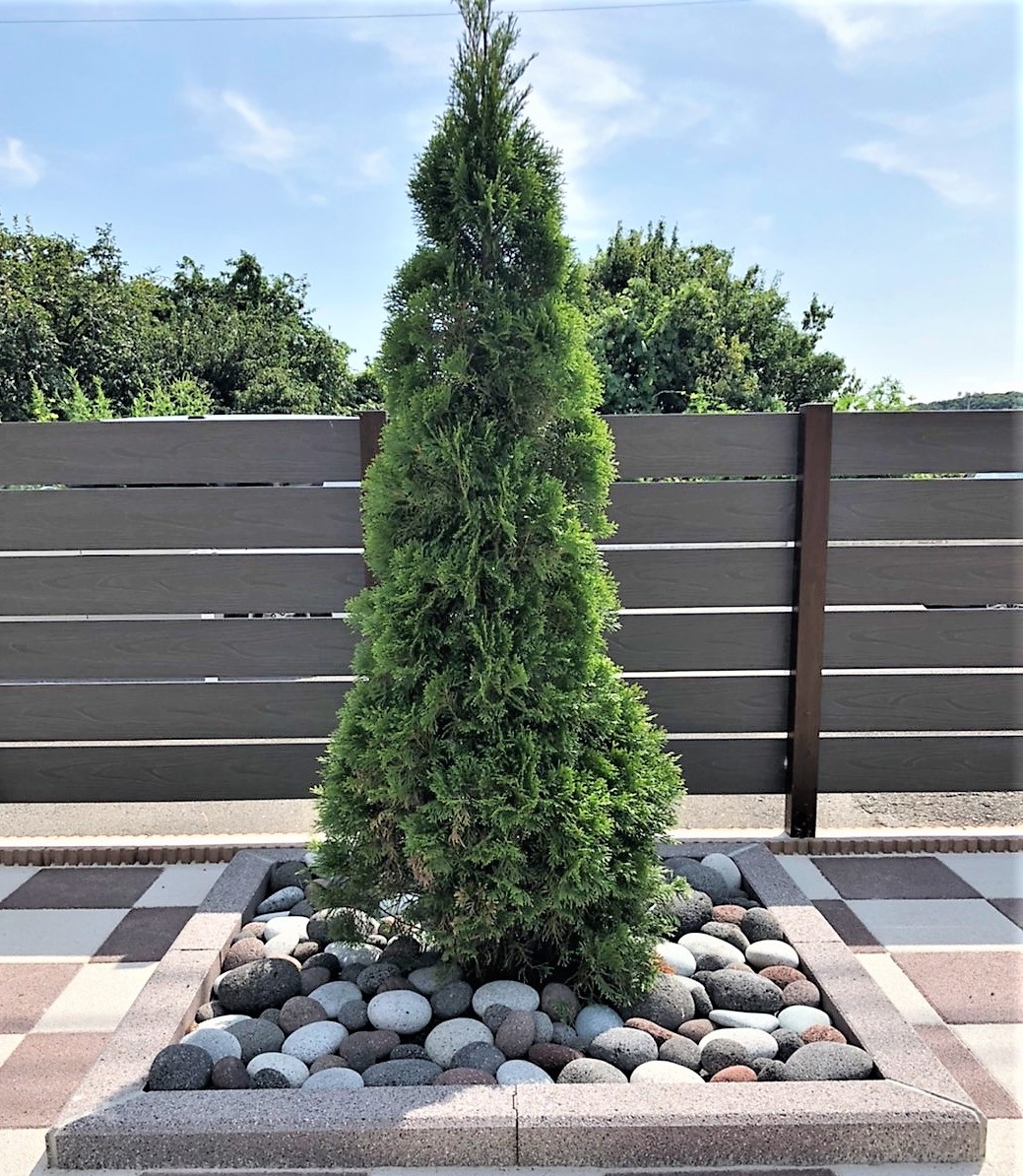 花壇の土をなくす目的でした