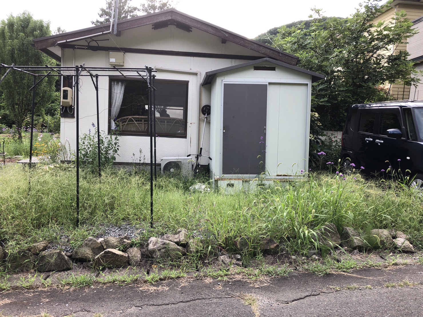 除草作業が追いつかない