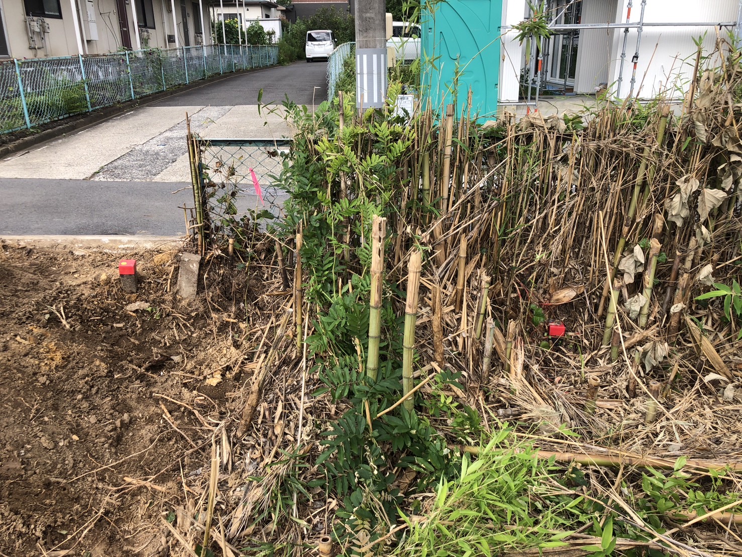 竹が境界まで生えてます