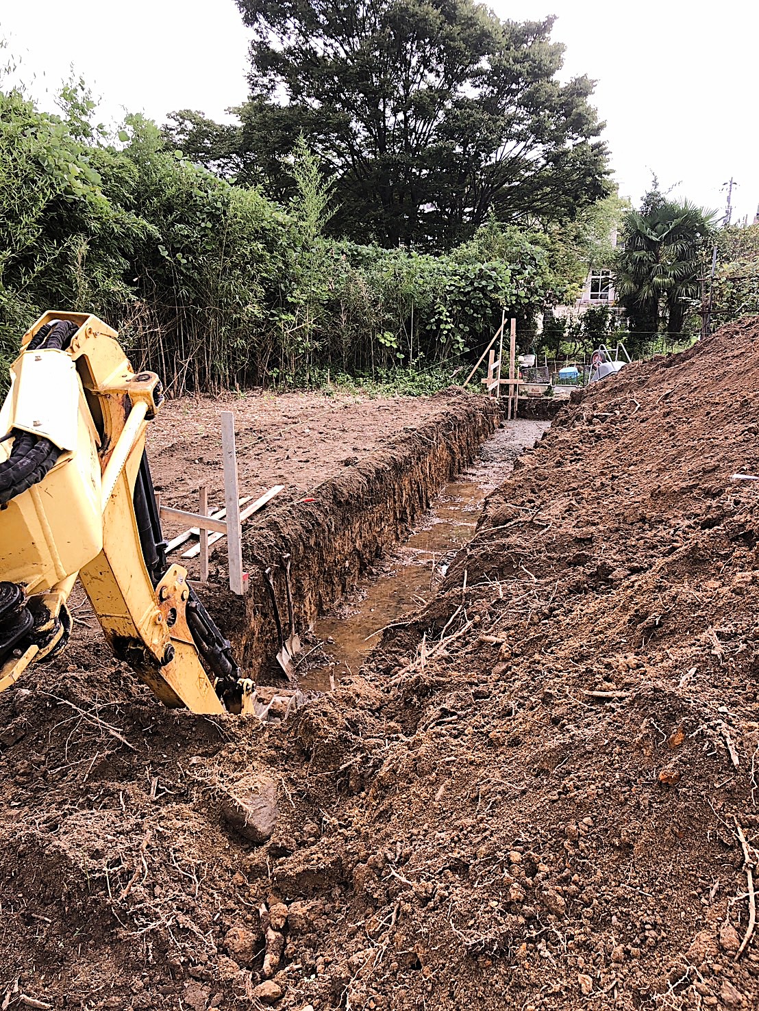 草や木の根が蔓延っています