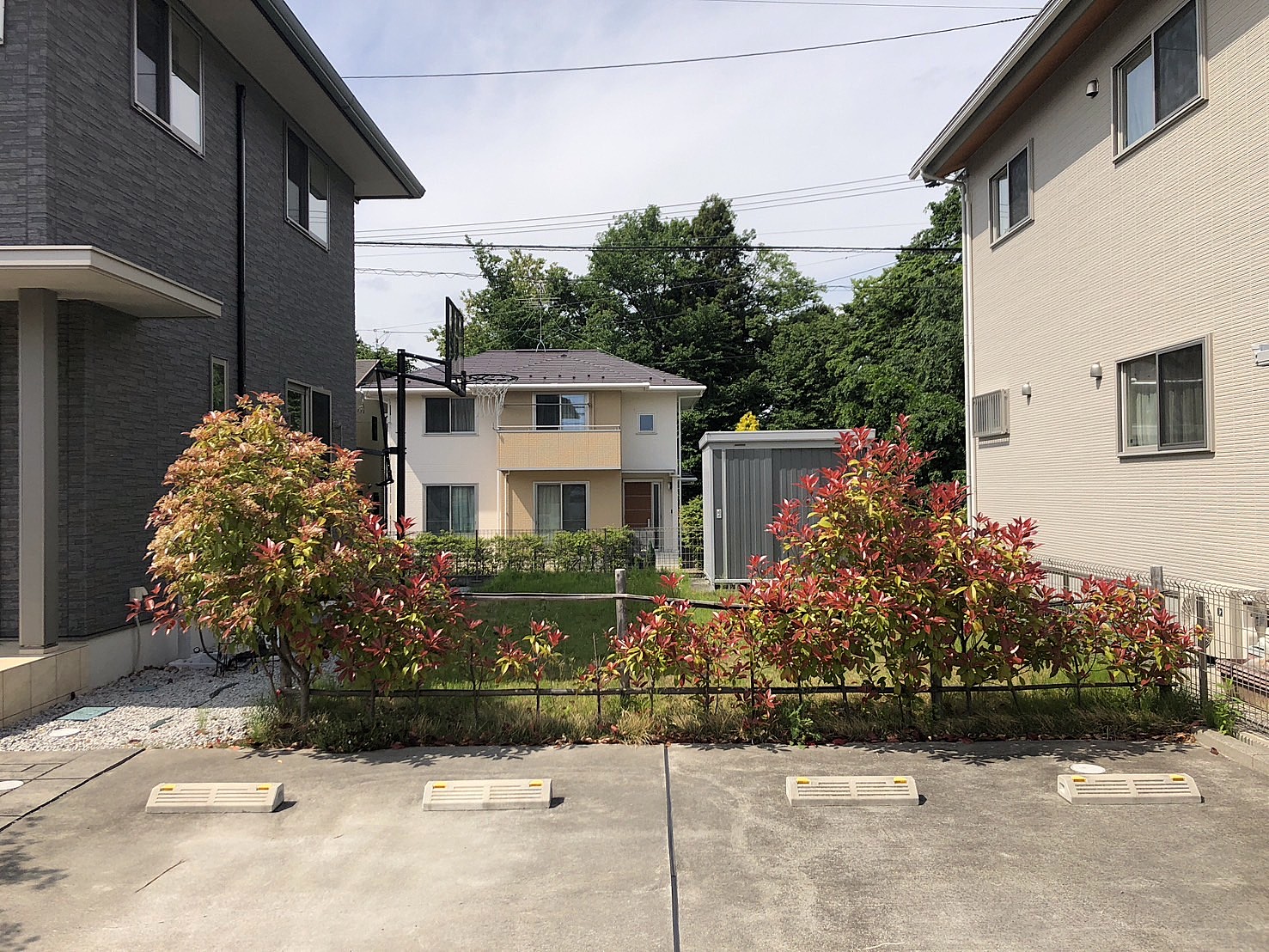 芝生のお庭