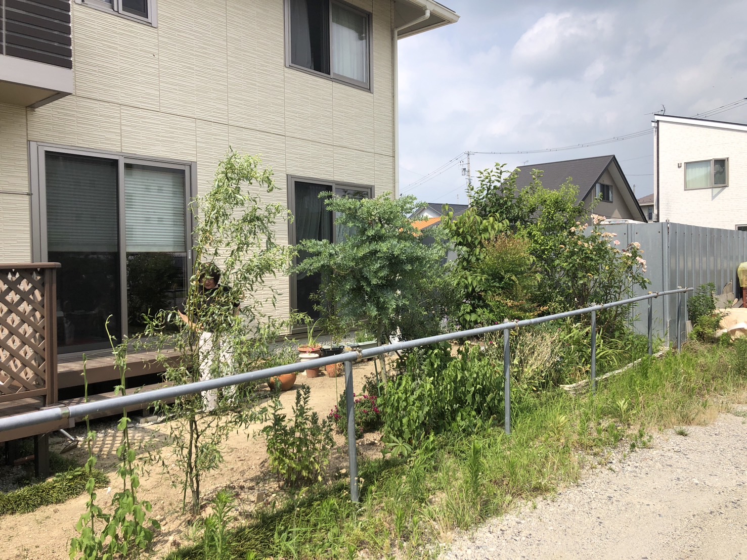 パイプ柵はお隣用