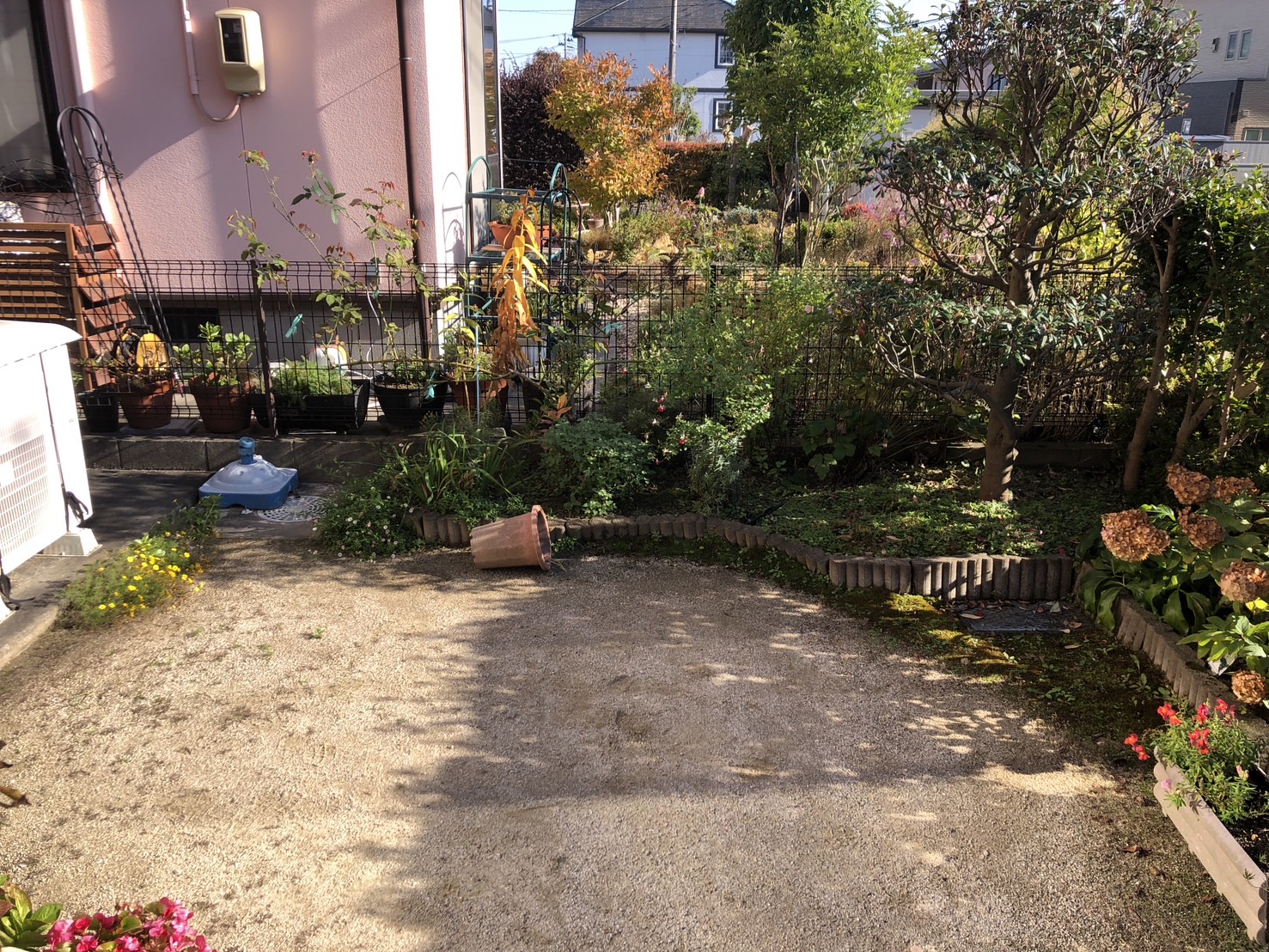 ごちゃごちゃが気になり