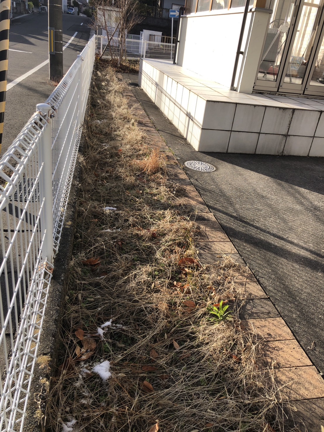 テラス横の花壇