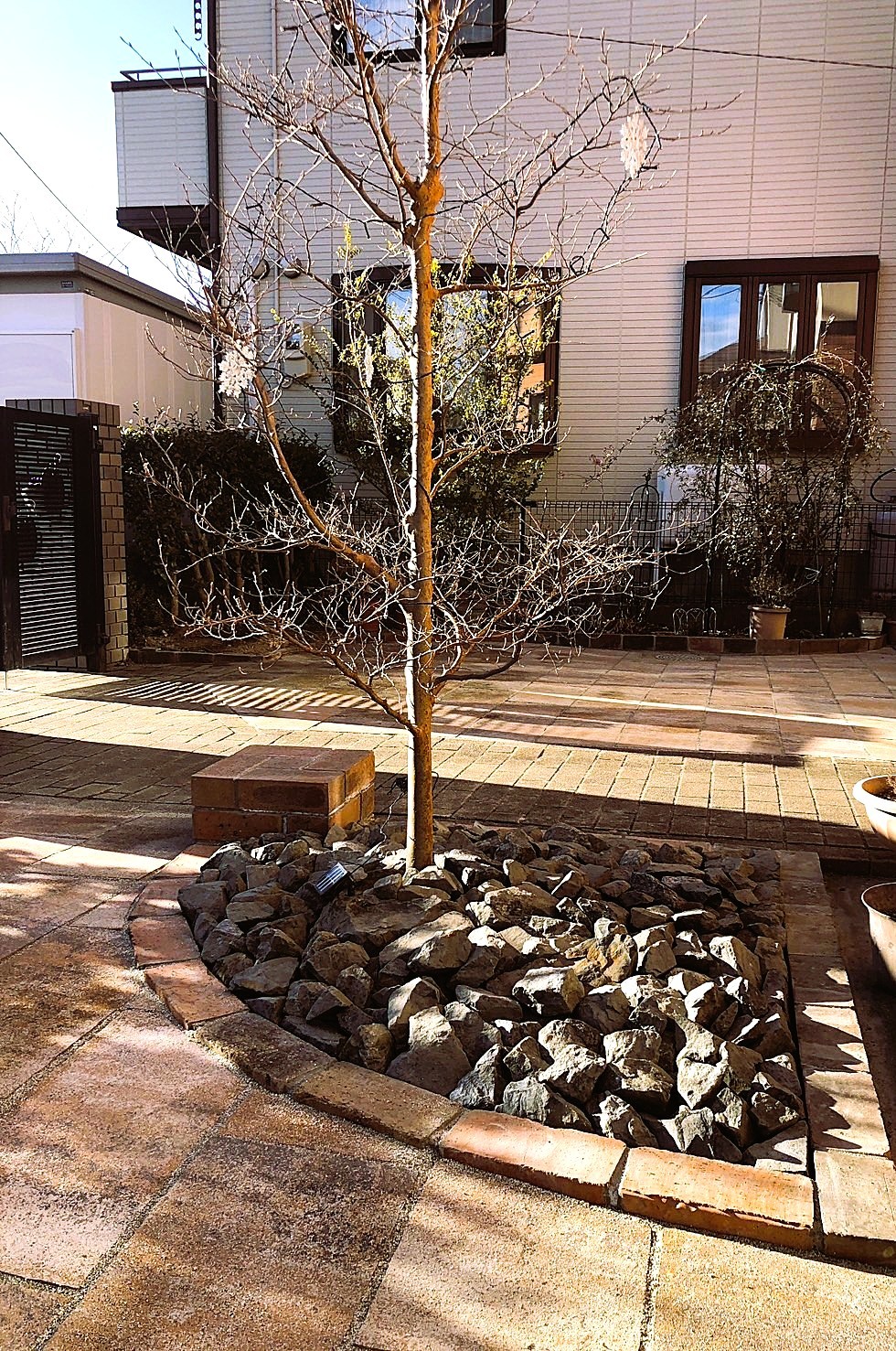 ロックガーデン