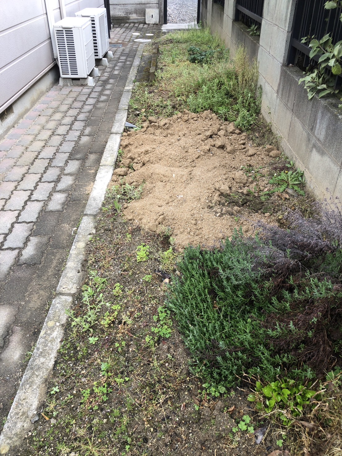 花壇でした