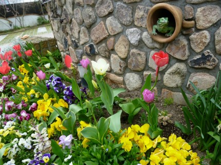 春花壇